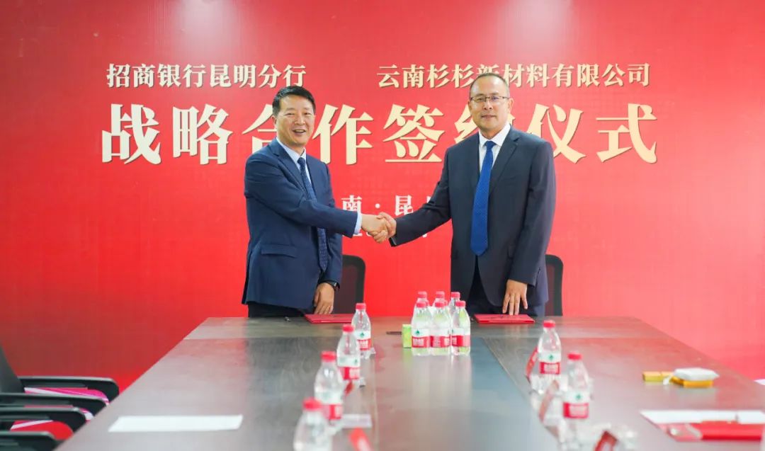 银娱优越会(中国游)股份有限公司